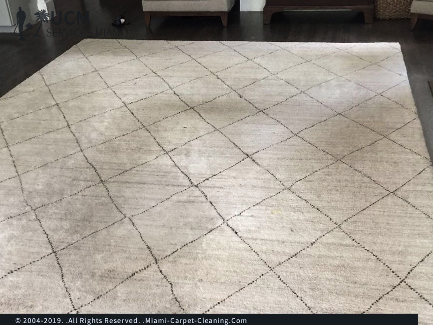 Carpet Cleaning Services, Water Damage Services- Clean up, dryin
