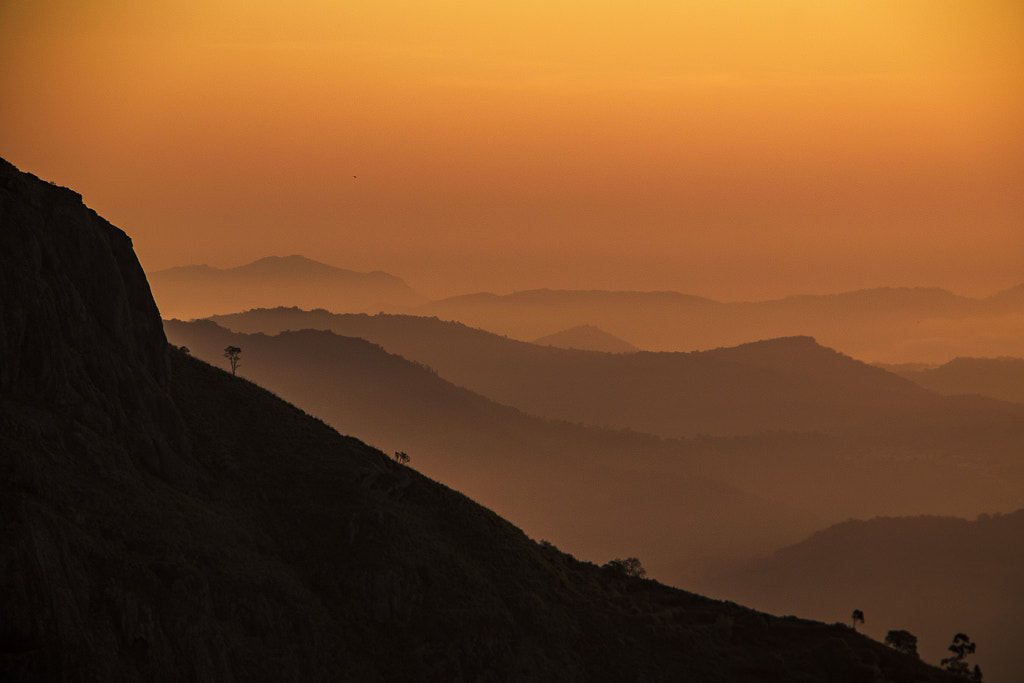 The Golden Canvas by Nithya Rajapandian on 500px.com