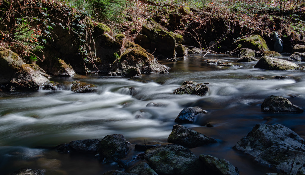 down II by dirk derbaum on 500px.com