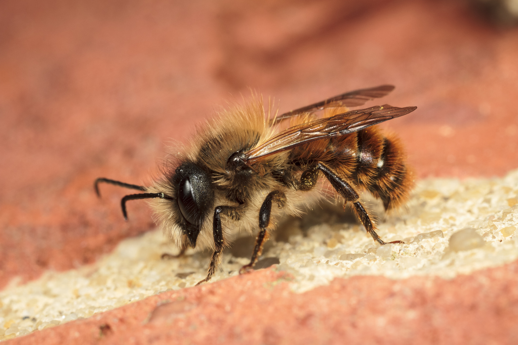 IMAGE: https://drscdn.500px.org/photo/303059407/q%3D80_m%3D1500/v2?webp=true&sig=12480f14b1e81a326f7c01340b1dd57a1115e01431f2953a5b45c4ea7a09ae83