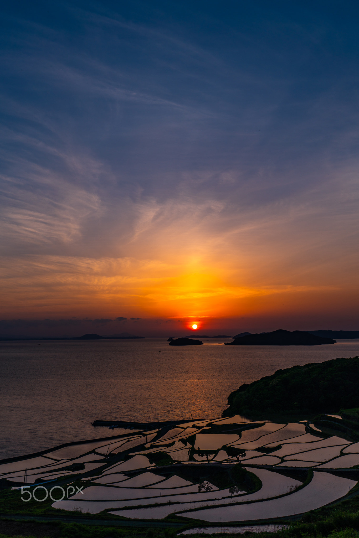 Rice terrace field's sunset