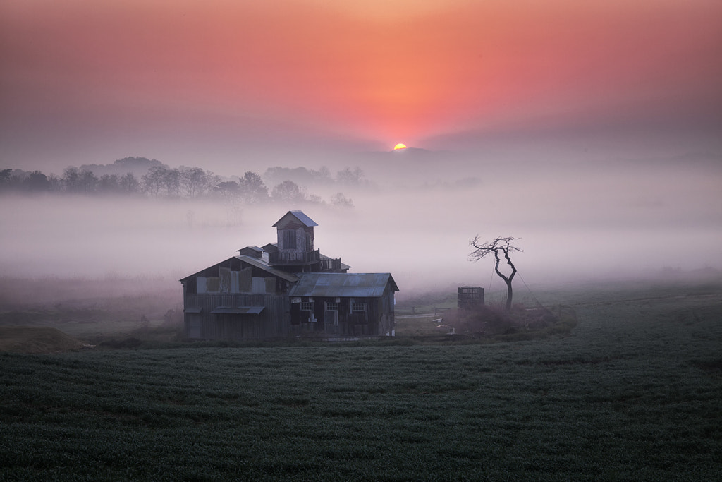 The sunrise by c1113  on 500px.com