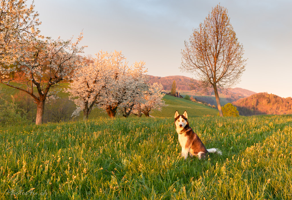 Shade by Fritz Degen on 500px.com