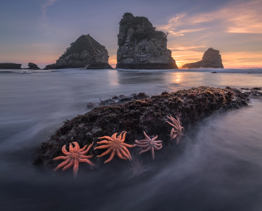 Stars of New Zeland by Sergey Aleshchenko on 500px.com