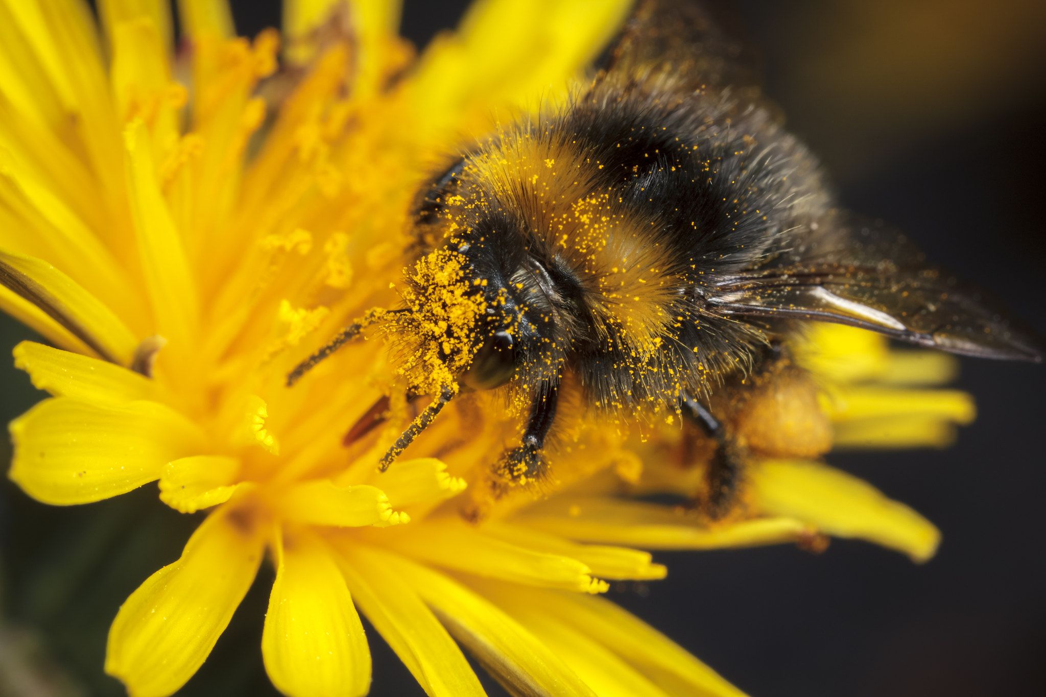 IMAGE: https://drscdn.500px.org/photo/303282397/q%3D80_m%3D1500/v2?webp=true&sig=93690599f18586a03ca4fcf891f9ed04151cd923b42eecfcc4d8505f2e75022d