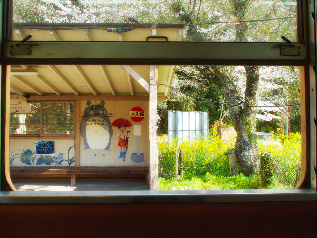 A Station Totoro Waiting by Alan Drake Haller on 500px.com