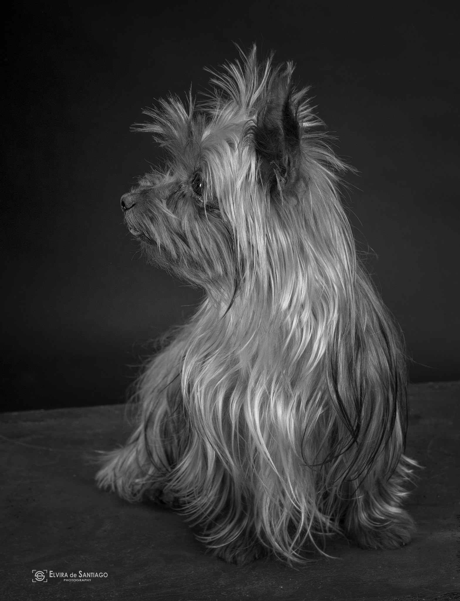 v2?sig=050eb113fdc1ecff310badd920a7bea11895557b78e9fd99597699eaab18f56a