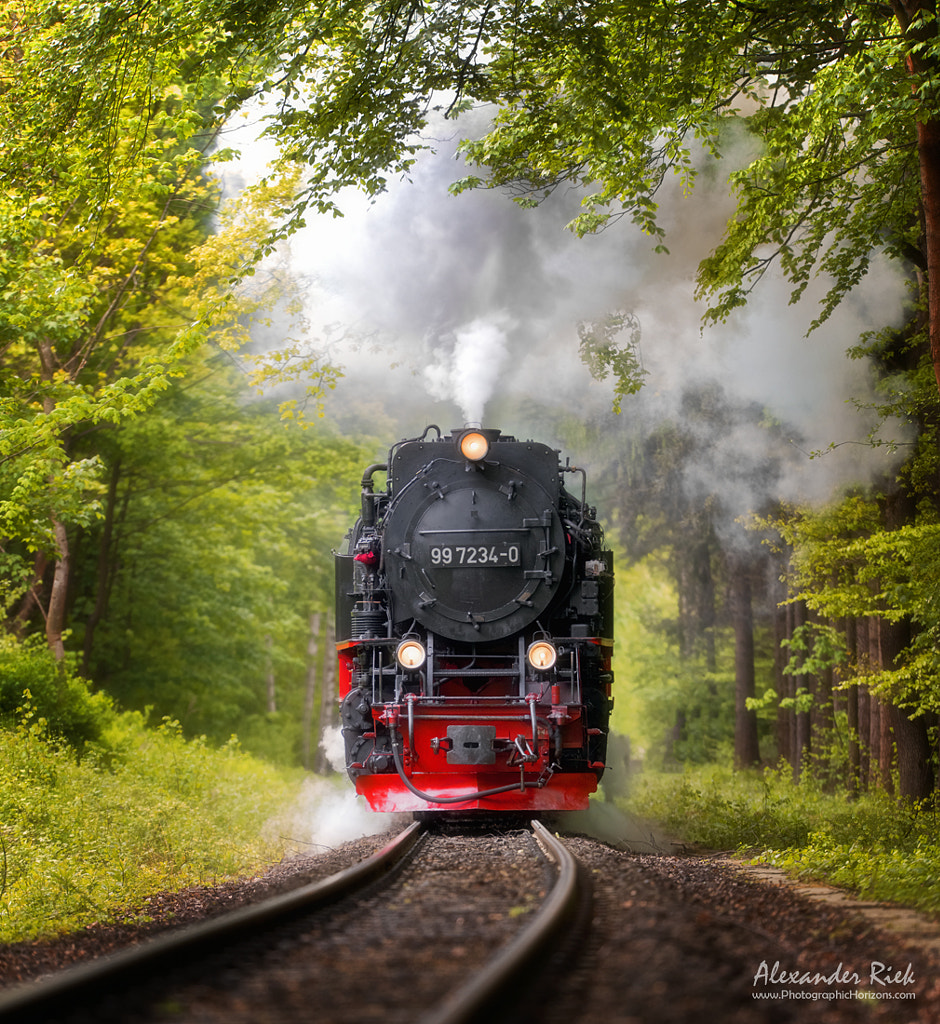 Spring Journey by Alexander Riek