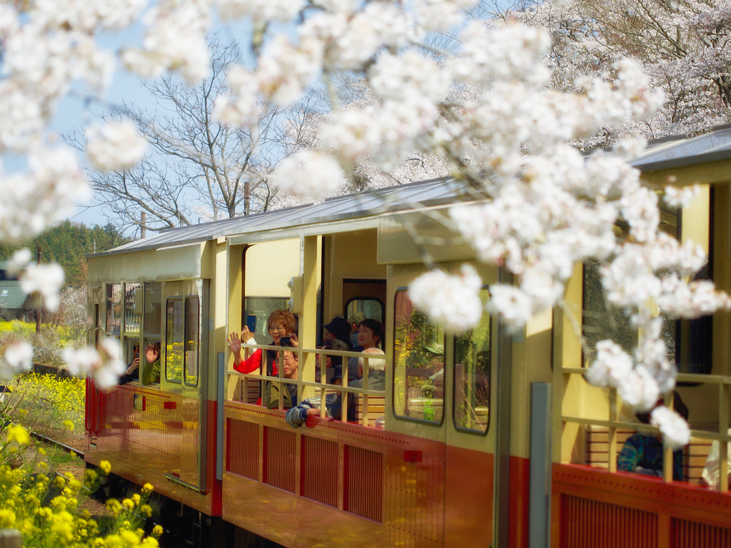 With a Spring Breeze by Alan Drake Haller on 500px.com