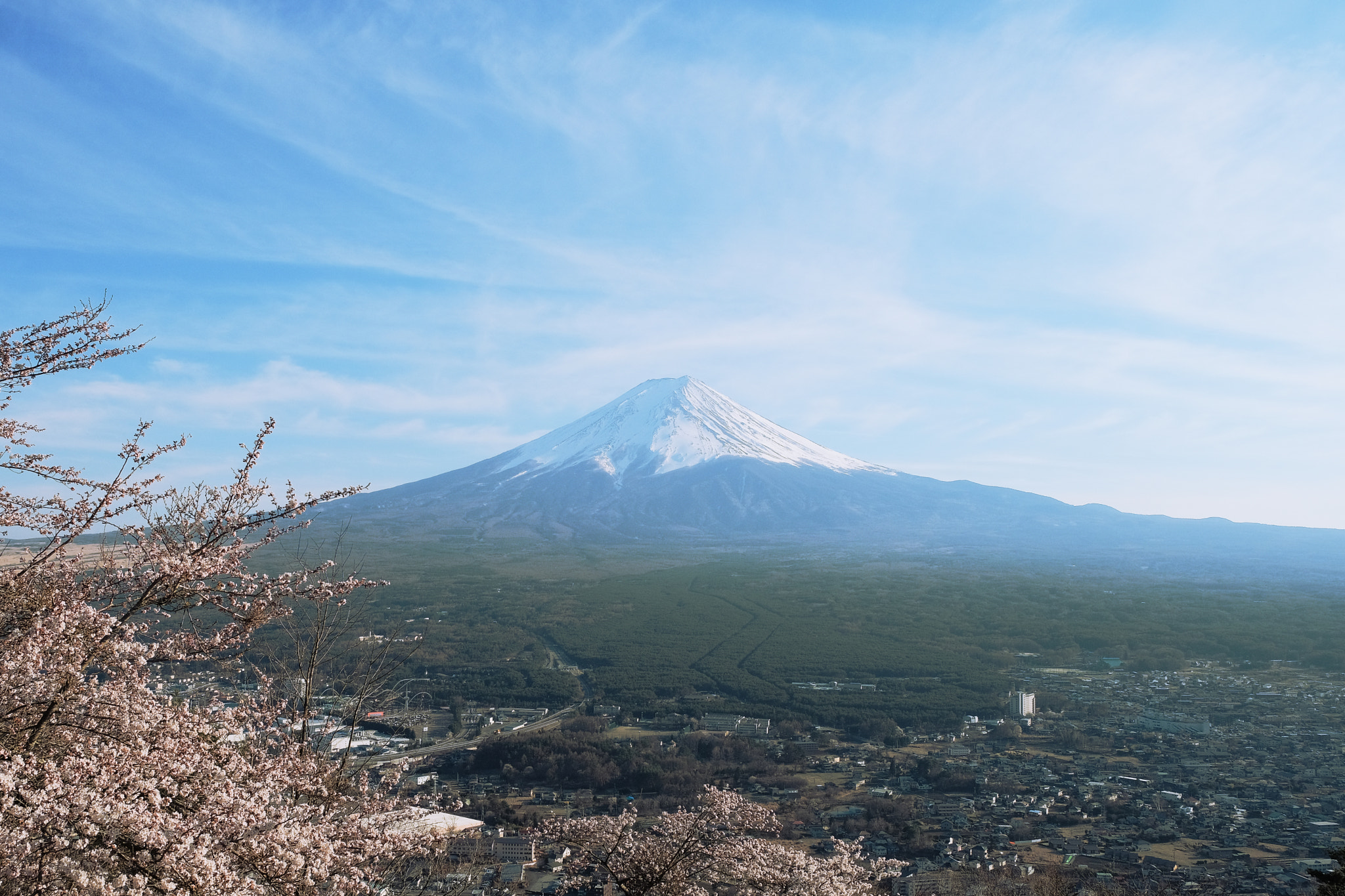 Fuji-San Portraiture