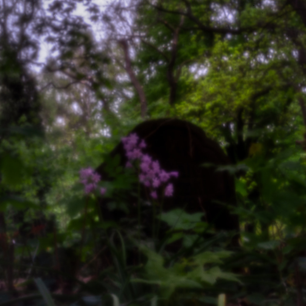 the old grave by dirk derbaum on 500px.com