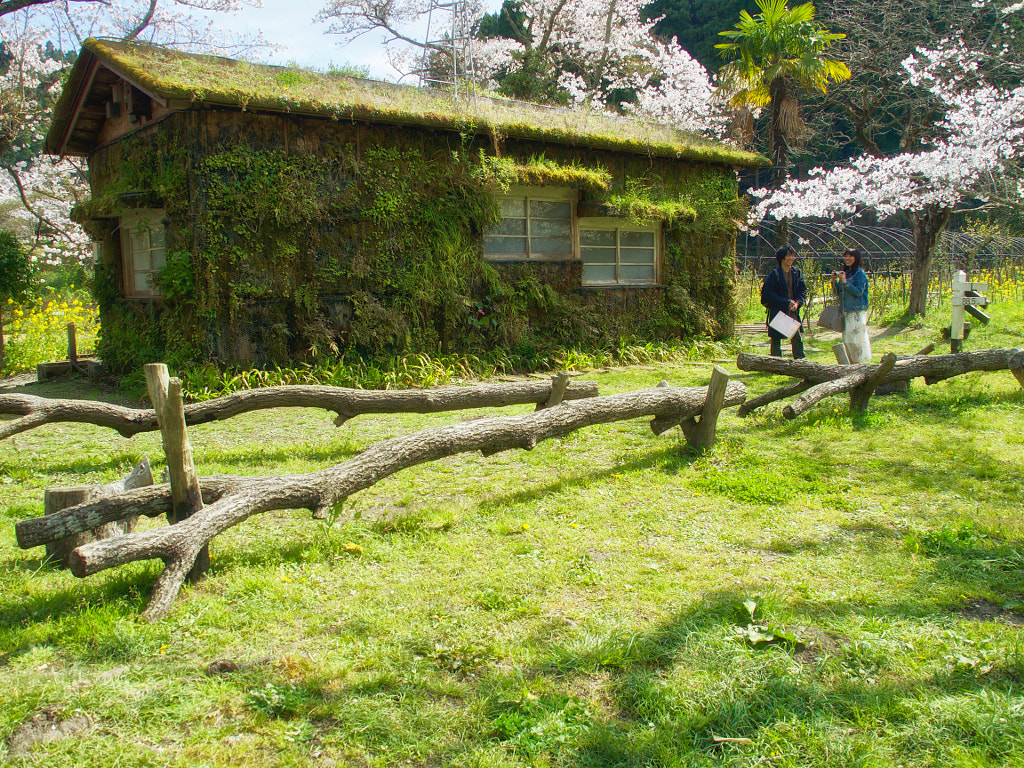 An Entrance into the Forest by Alan Drake Haller on 500px.com
