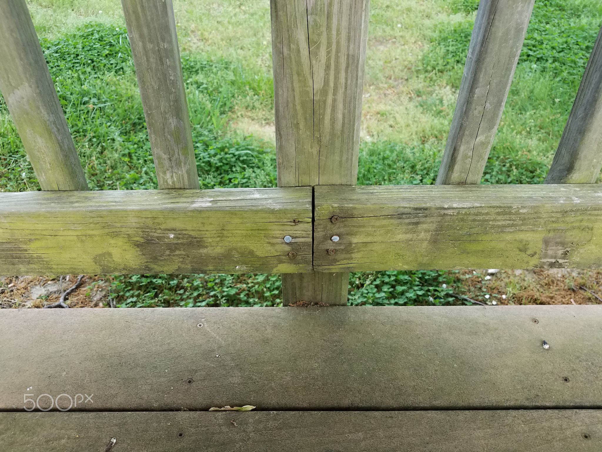 weathered or worn discolored wood deck with green algae