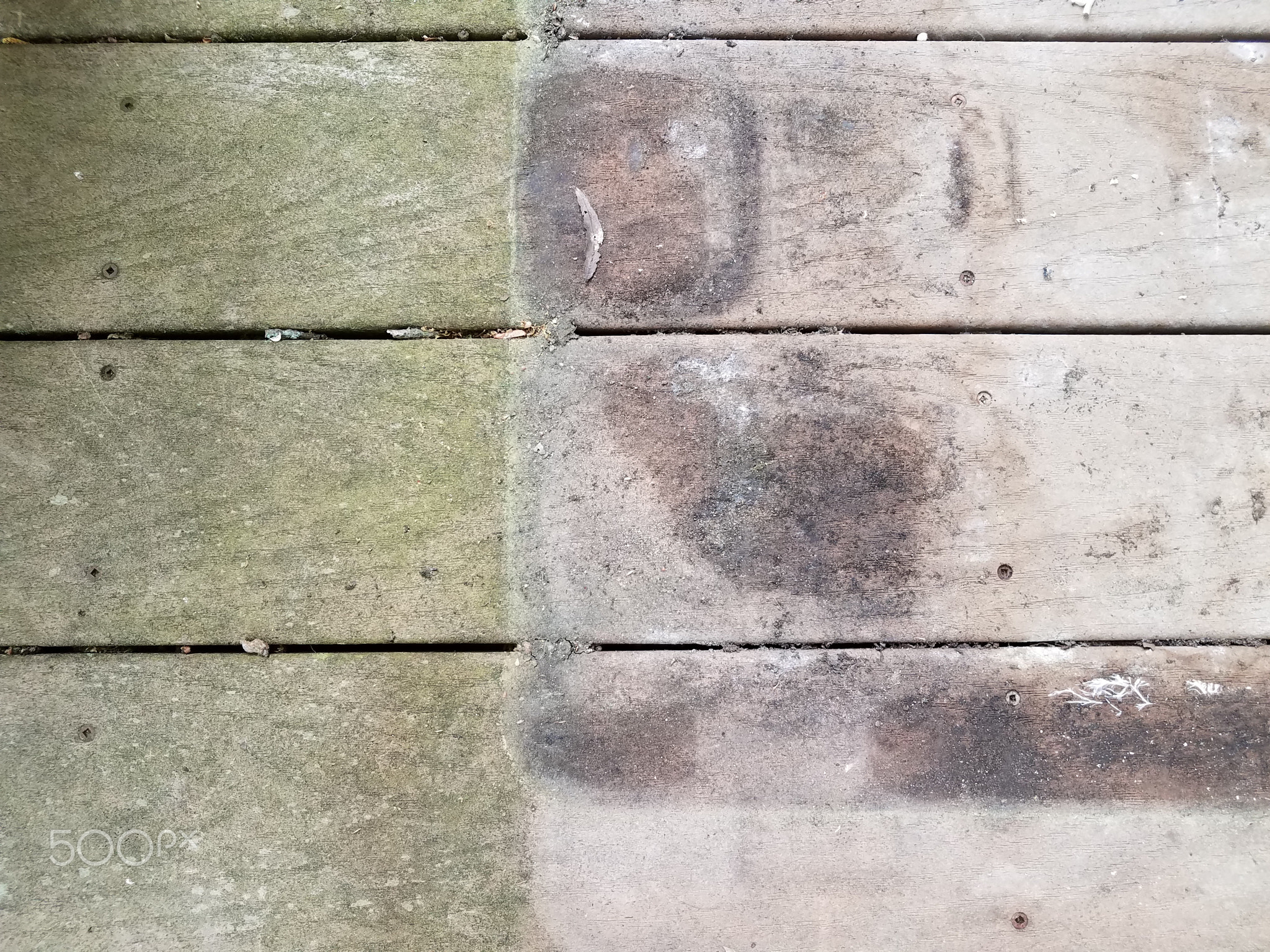 discolored or worn or weathered wood deck boards with algae