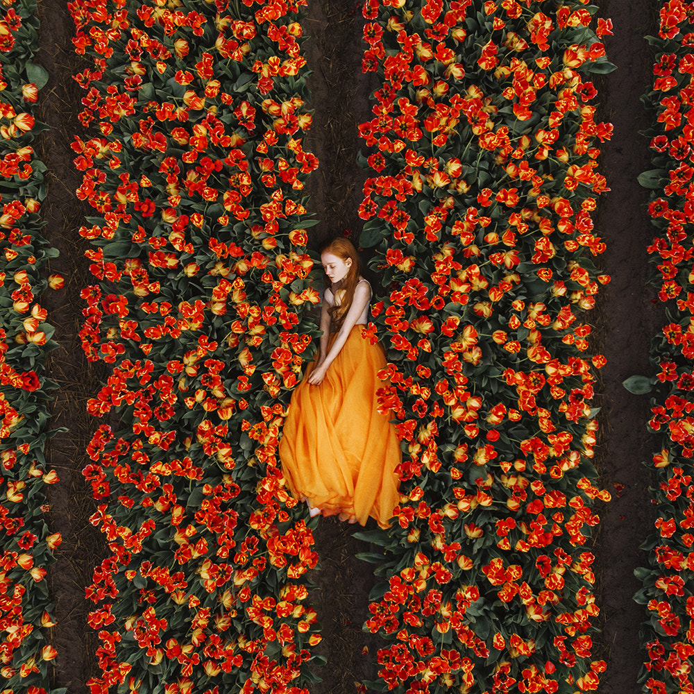 Orange Dream by Jovana Rikalo on 500px.com