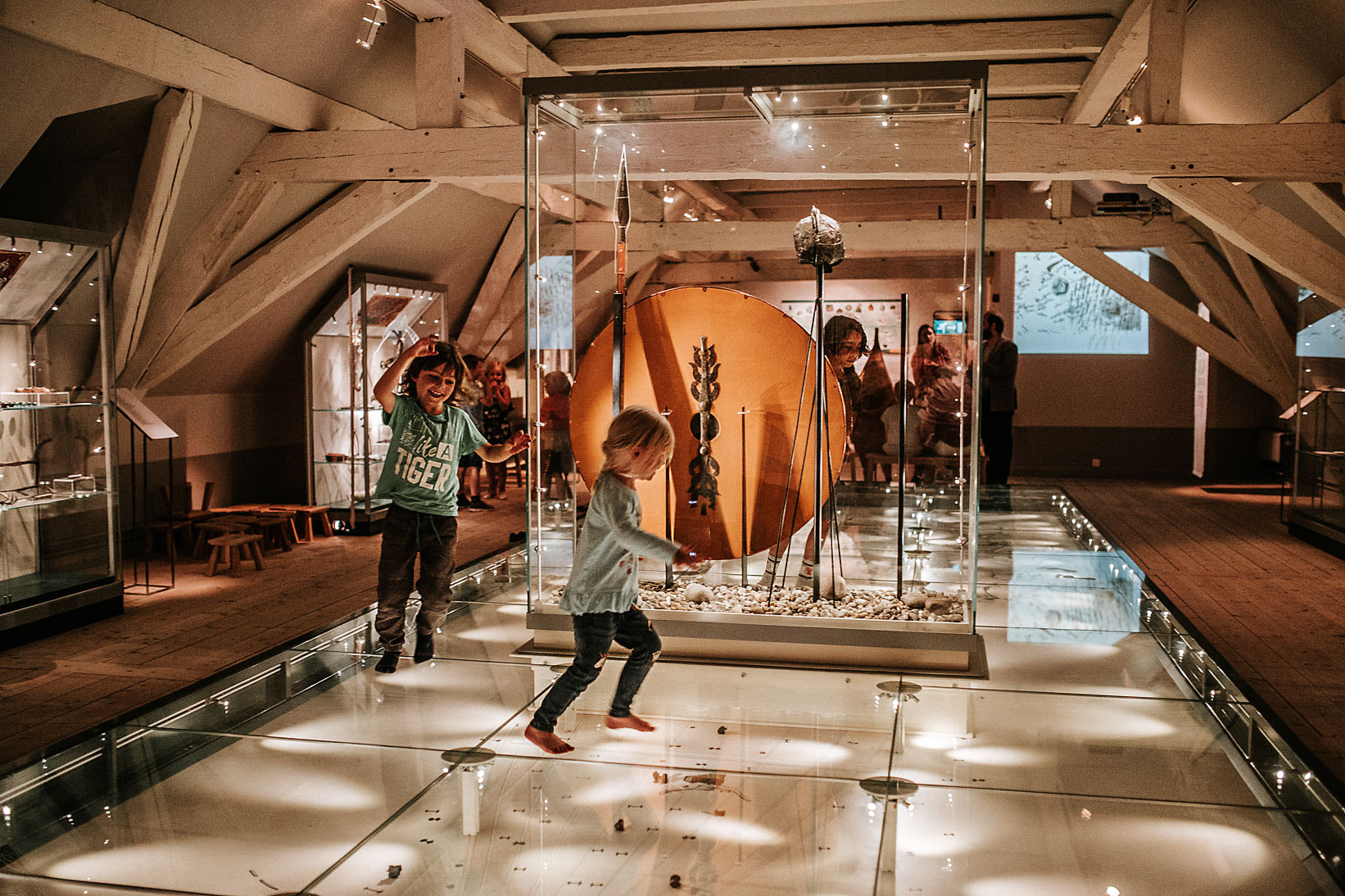 viking museum