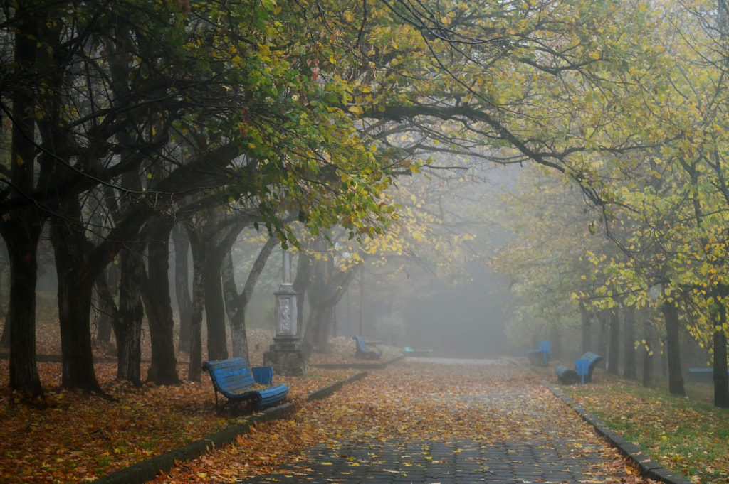 Autumn morning .... by Yuriy Tsypliatnikov on 500px.com