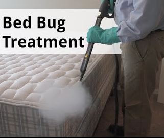 Bed Bug Services and Treatments