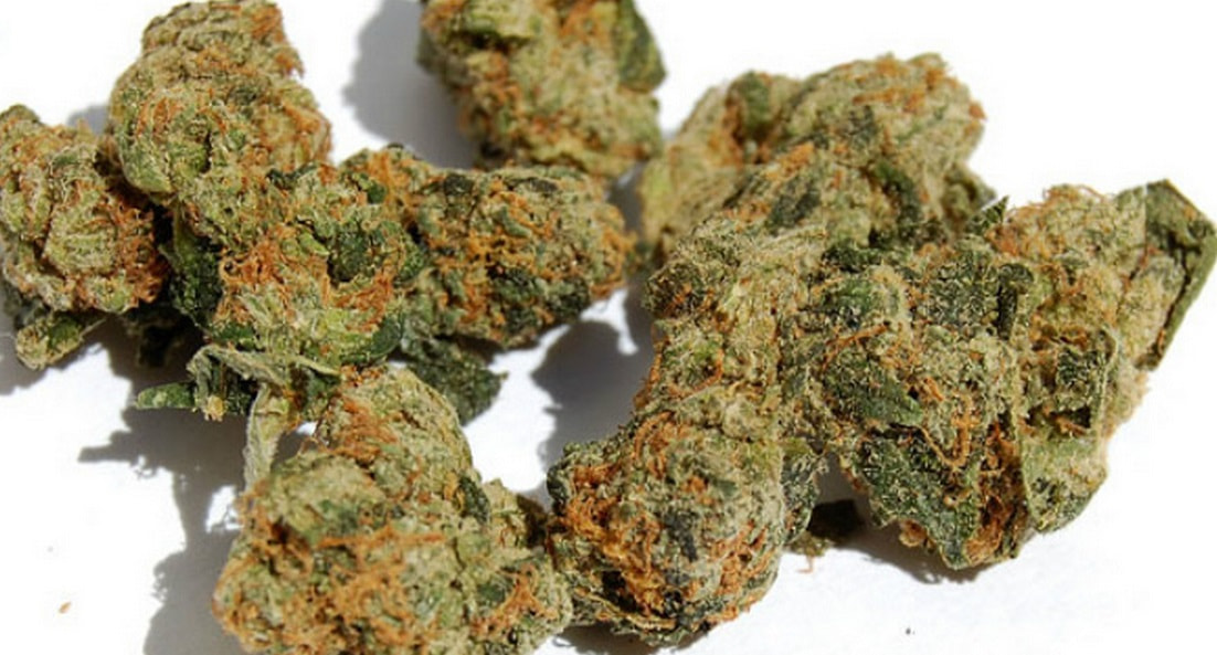 buy pure kush online