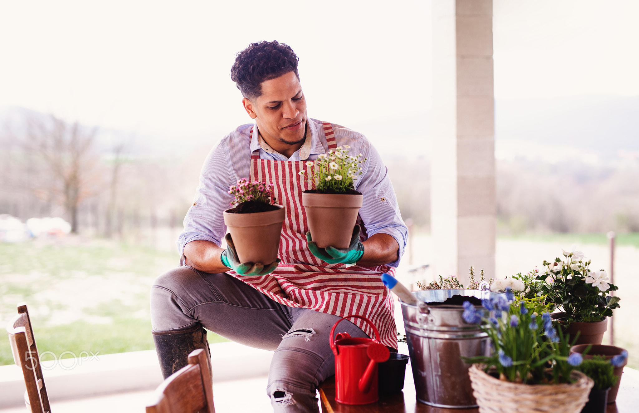 A portrait of young man gardener indoors at home, planting flowers.