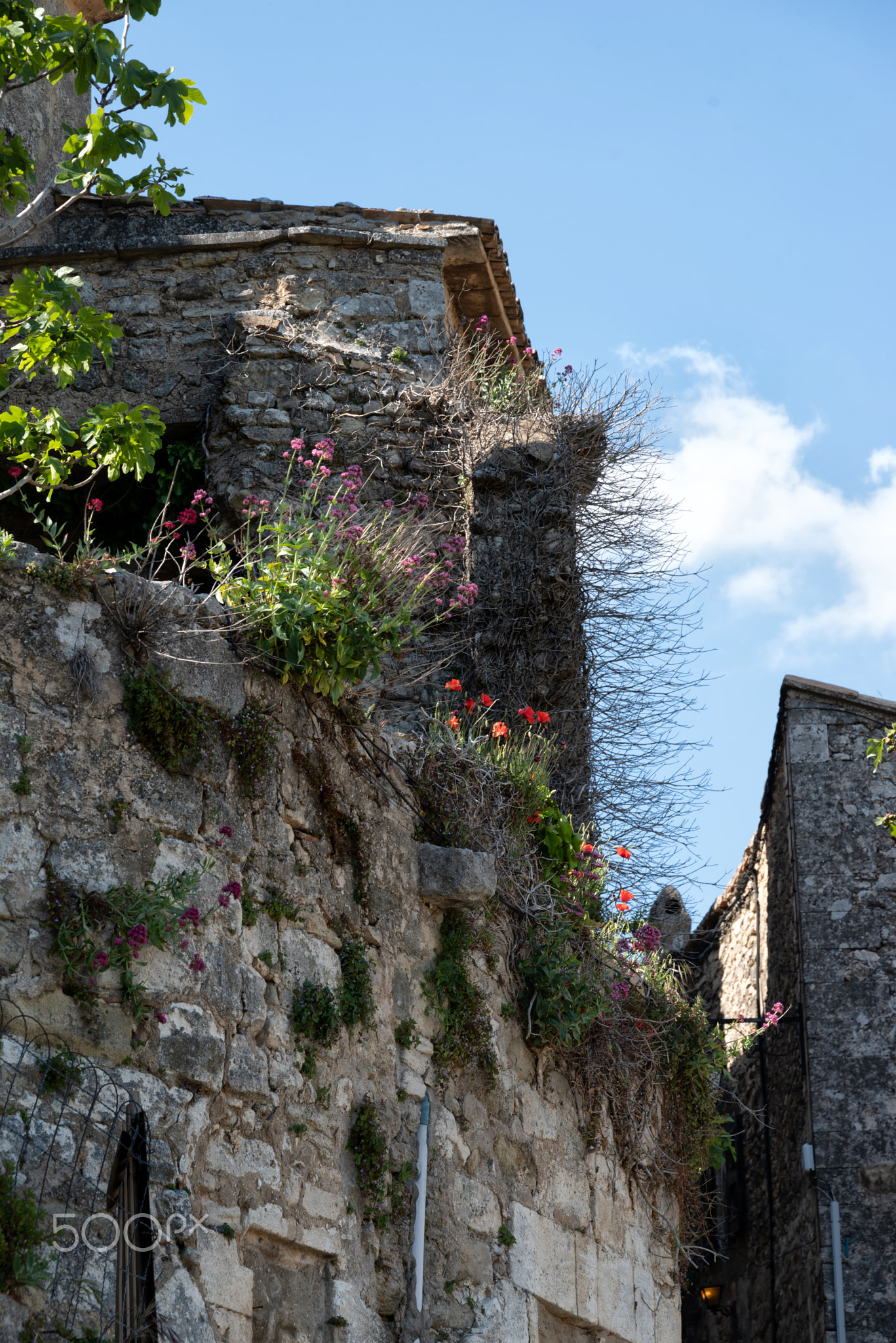 Lacoste - Maison de village fleurie