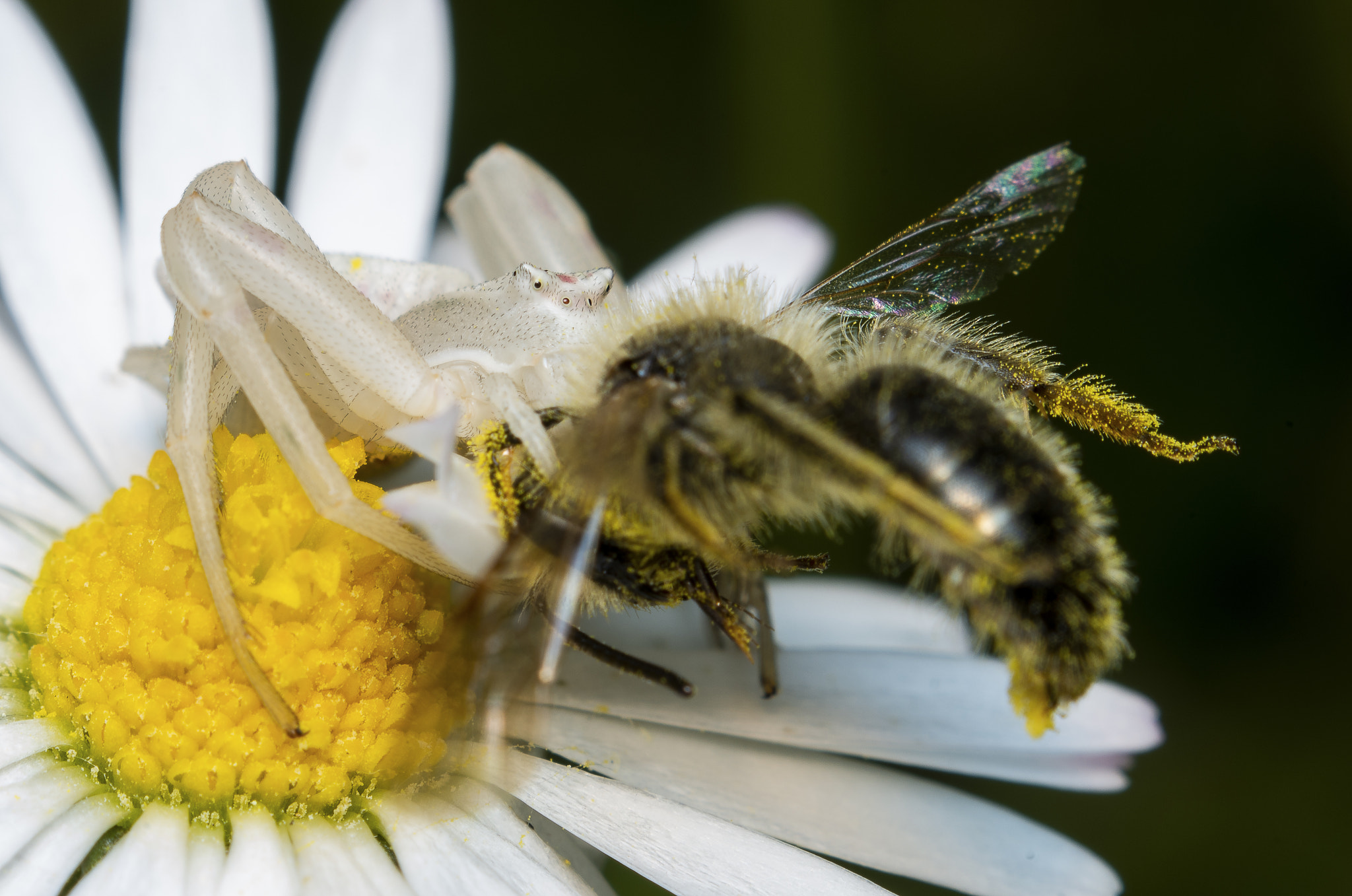 Bruno Levavasseur Brunolevavasseur Profile 500px