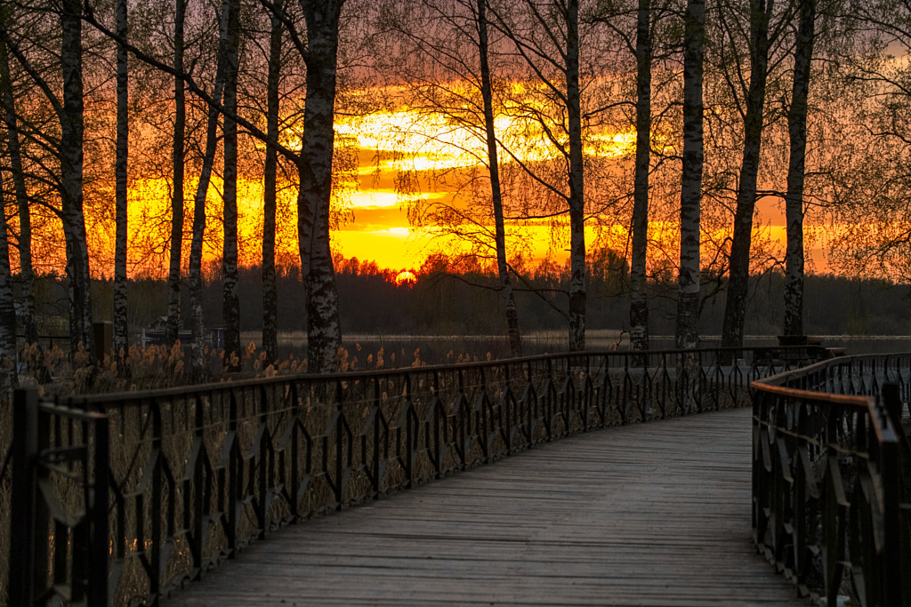 Sunset at Aulanko by Markus Kauppinen on 500px.com