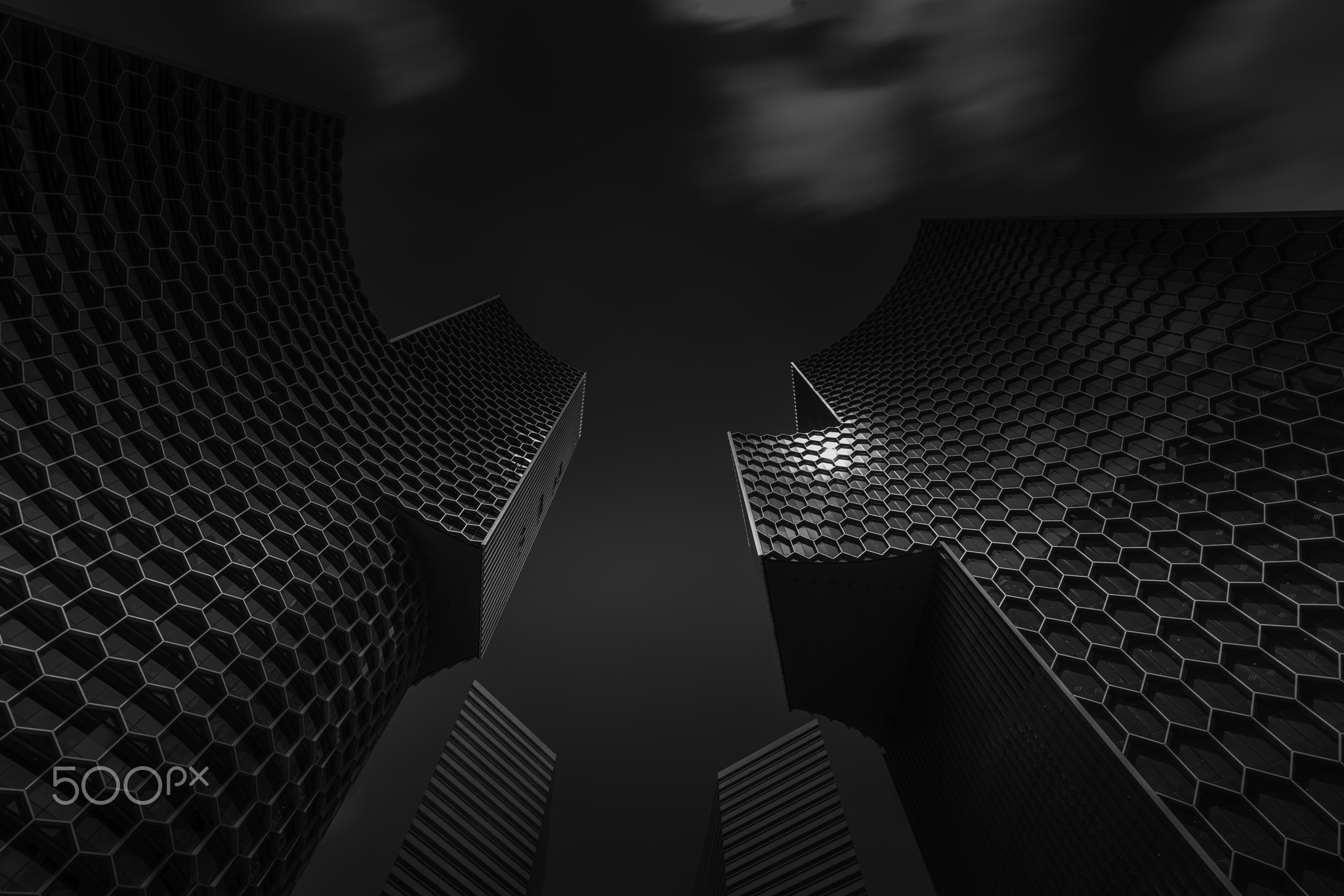 The Honeycomb__ML_0826.jpg