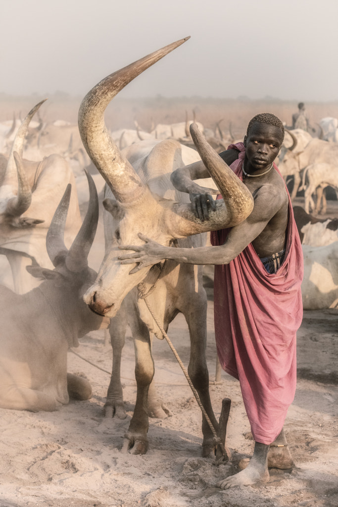 Mundari and their beasts by Trevor Cole on 500px.com