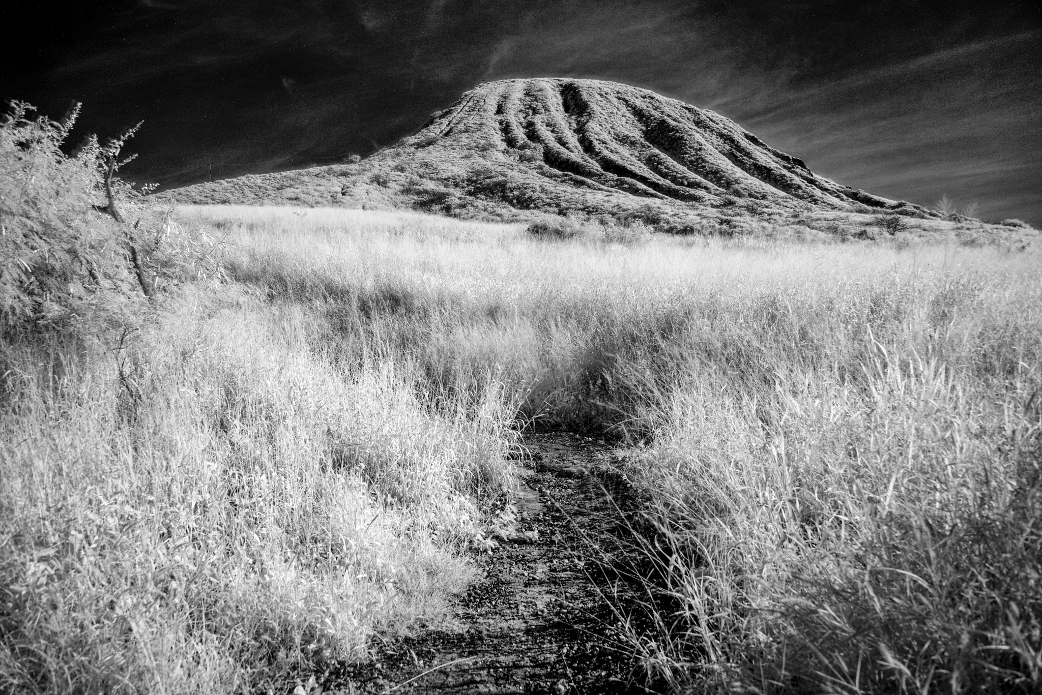 v2?sig=02e1029839c917094318094176af610d8b574bb8de27e0952c7a48da7939a455