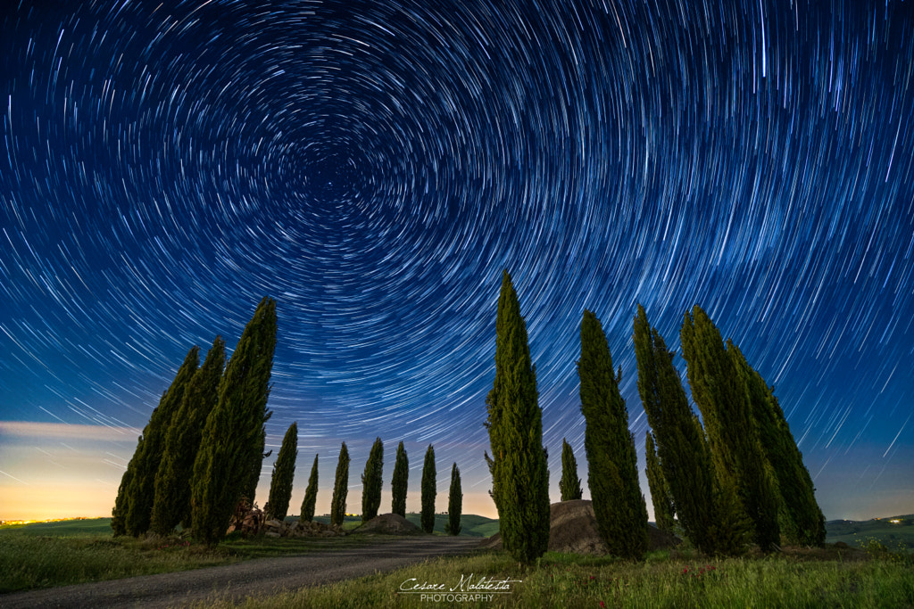 StarTrail Circolo Cipressi by Cesare Malatesta on 500px.com
