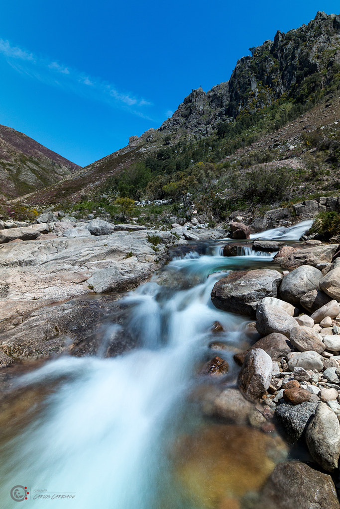 IMAGE: https://drscdn.500px.org/photo/305343025/m%3D900/v2?user_id=2170339&webp=true&sig=042daa430ffc5d30a026d68e6dfcdc8e9b732303463cd2b33cf92935d1dad1bb