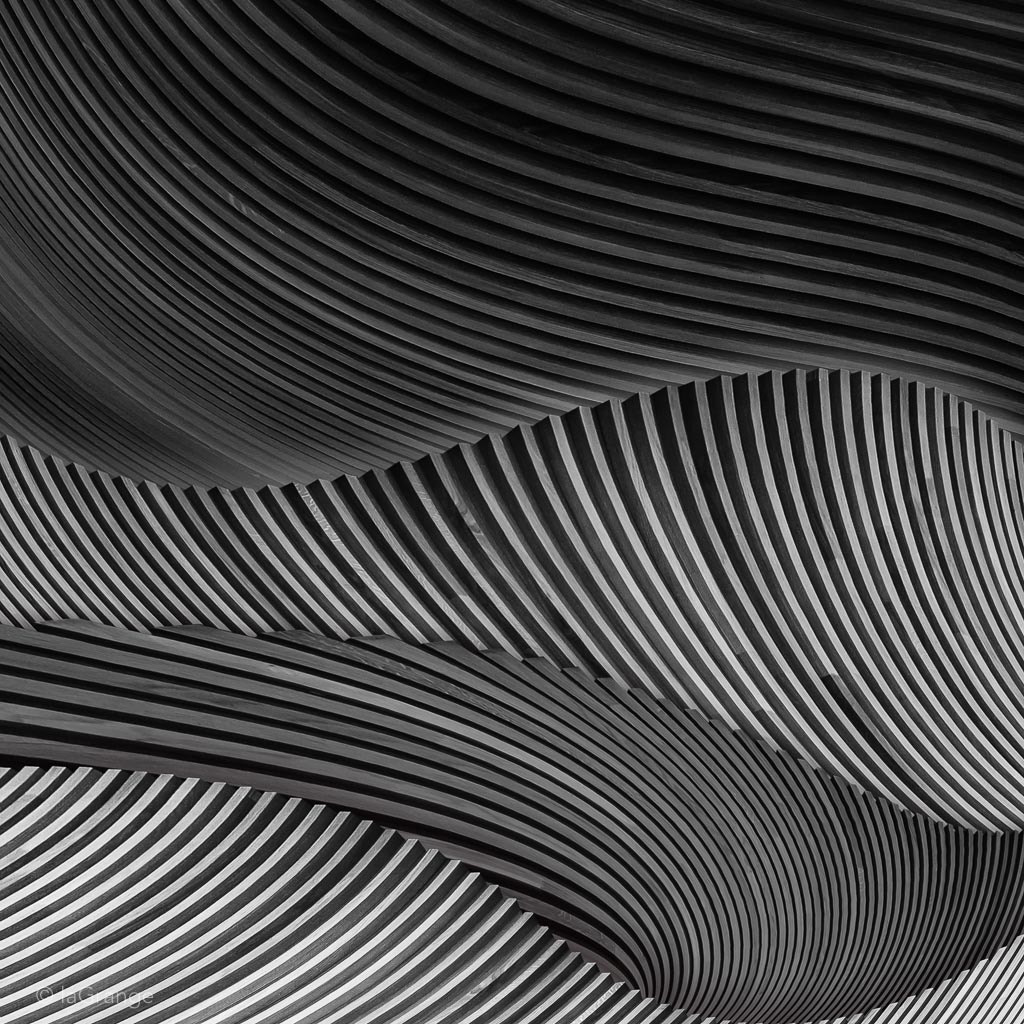 The wood project VI - Storm by Luc Vangindertael (laGrange) on 500px.com