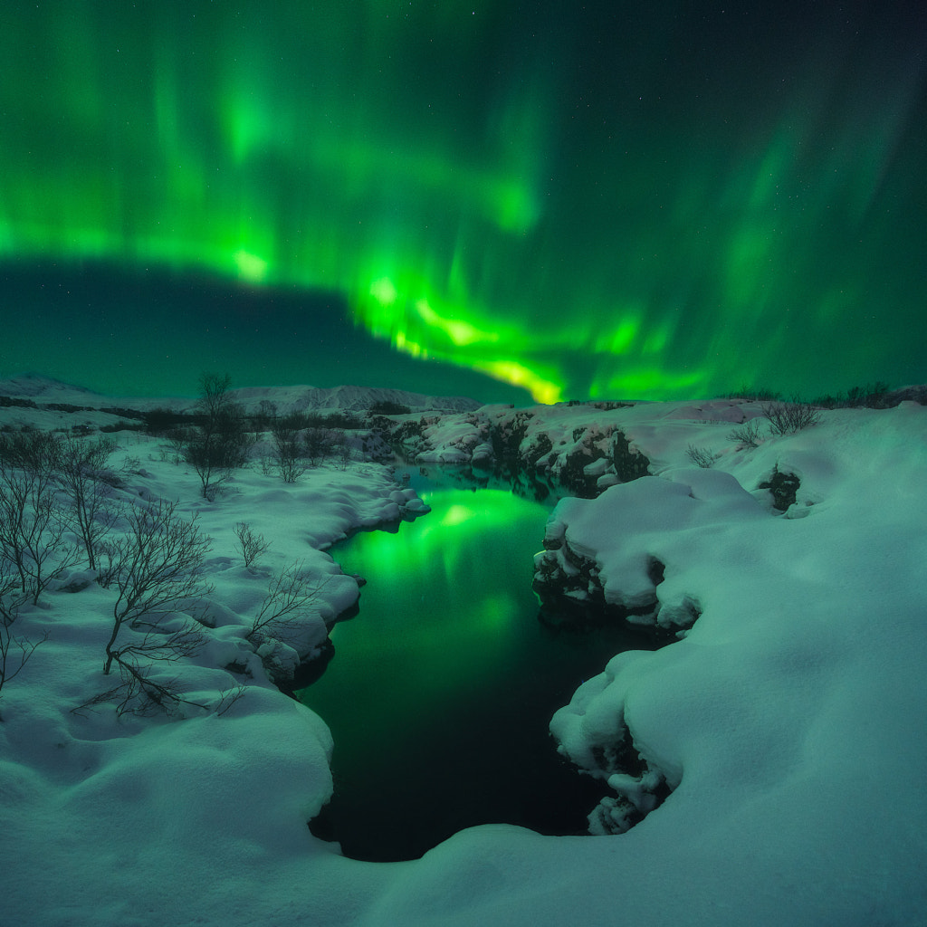 Northern Lights in Iceland by Iurie Belegurschi on 500px.com