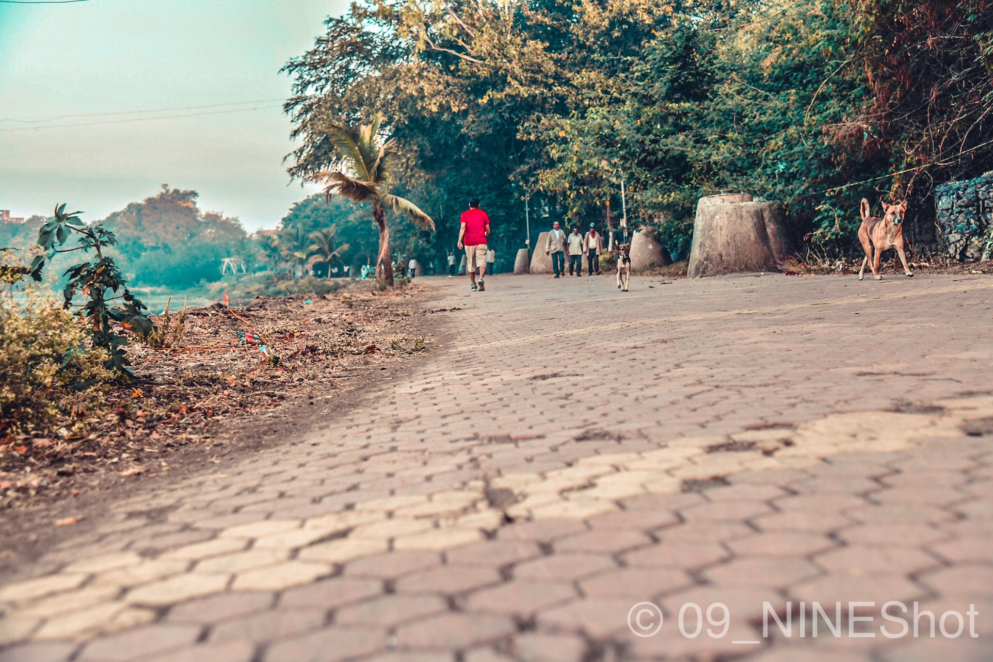 Morning walk 