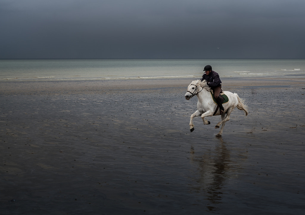 Galop sur la plage by Marc Romang on 500px.com