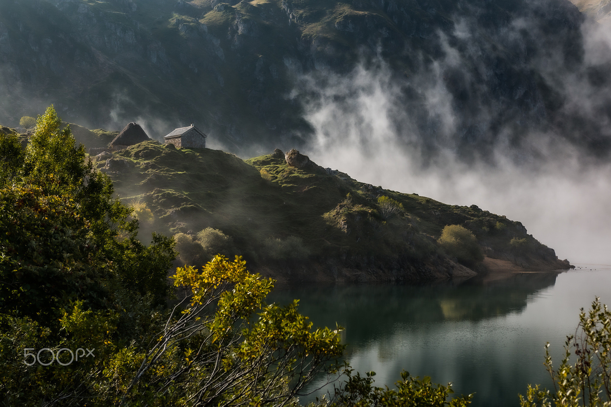 Fog in the Lake