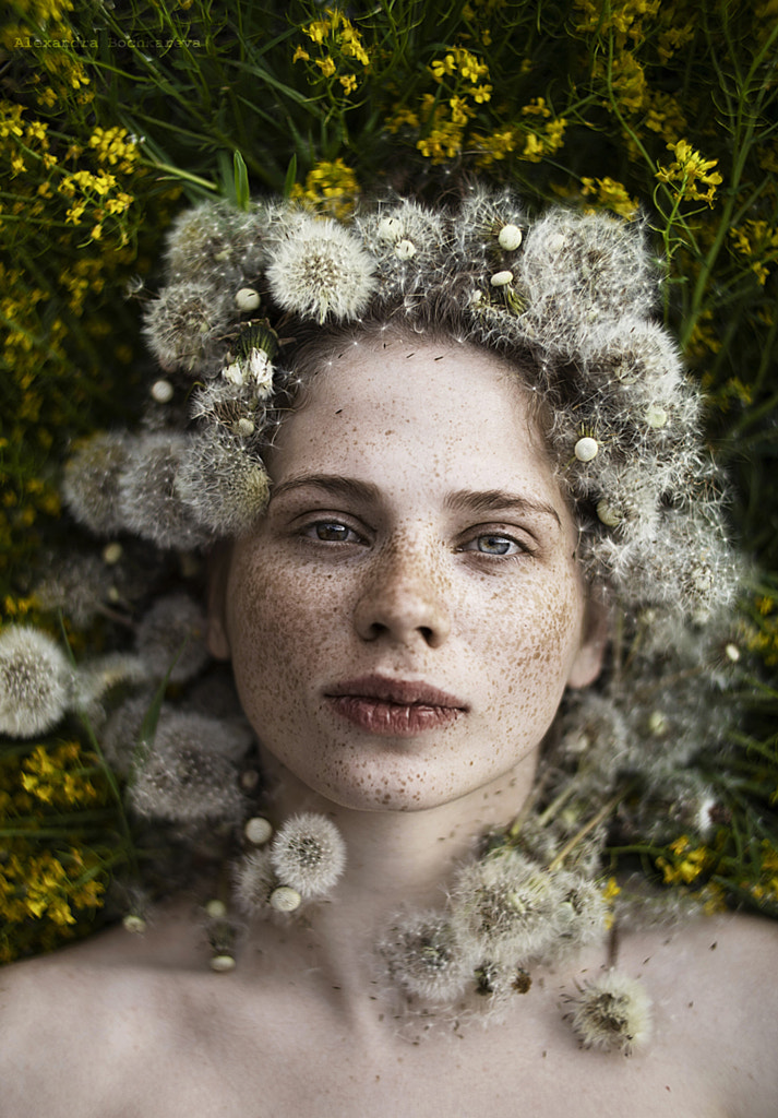 Dandelion || by Alexandra Bochkareva on 500px.com