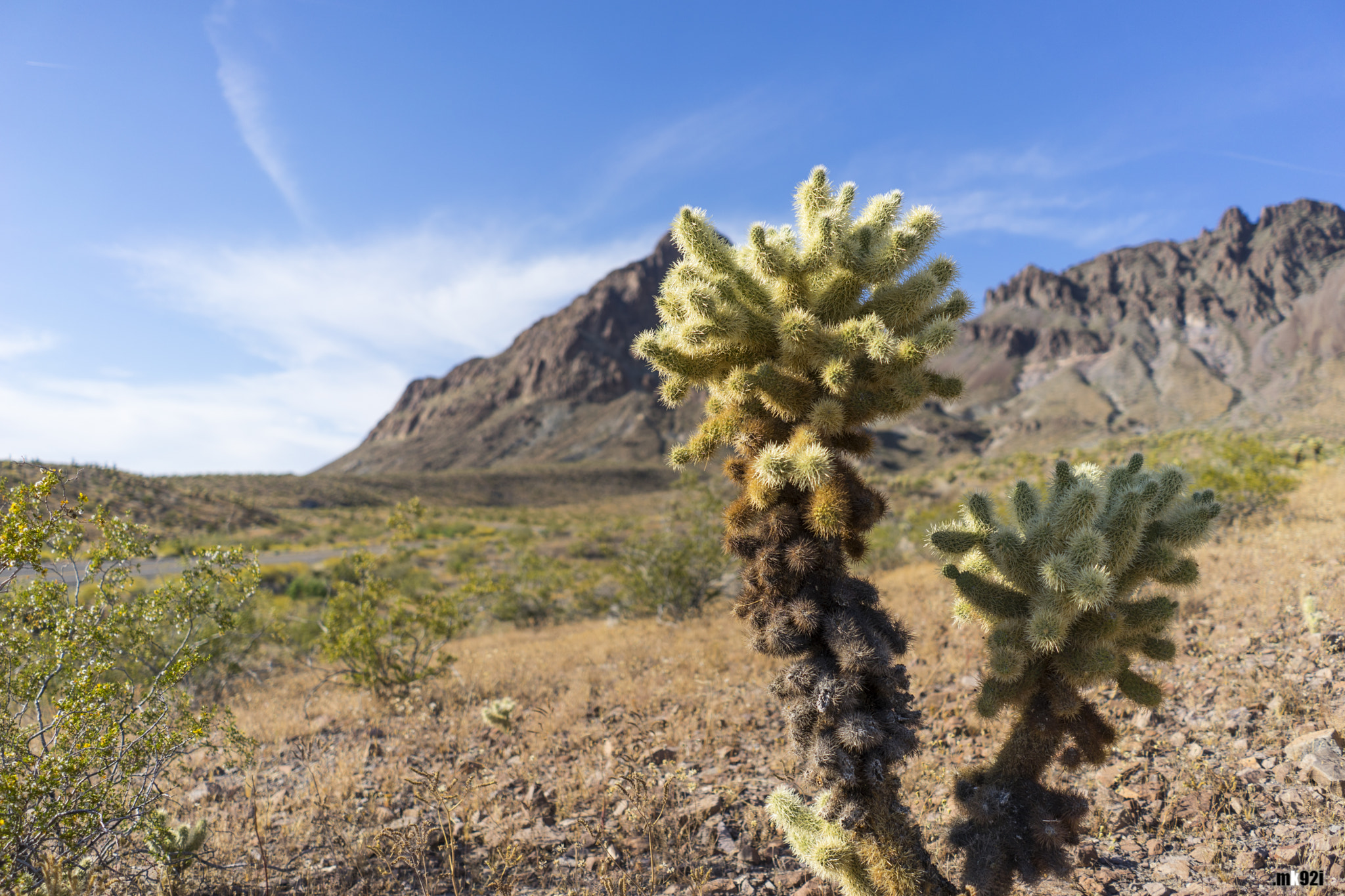 v2?sig=9994e1adb6f93d9a9d33a5fd8e8693cab