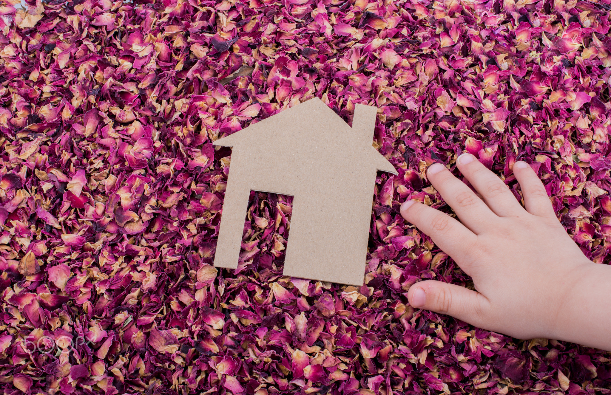 Paper house on dry rose petals
