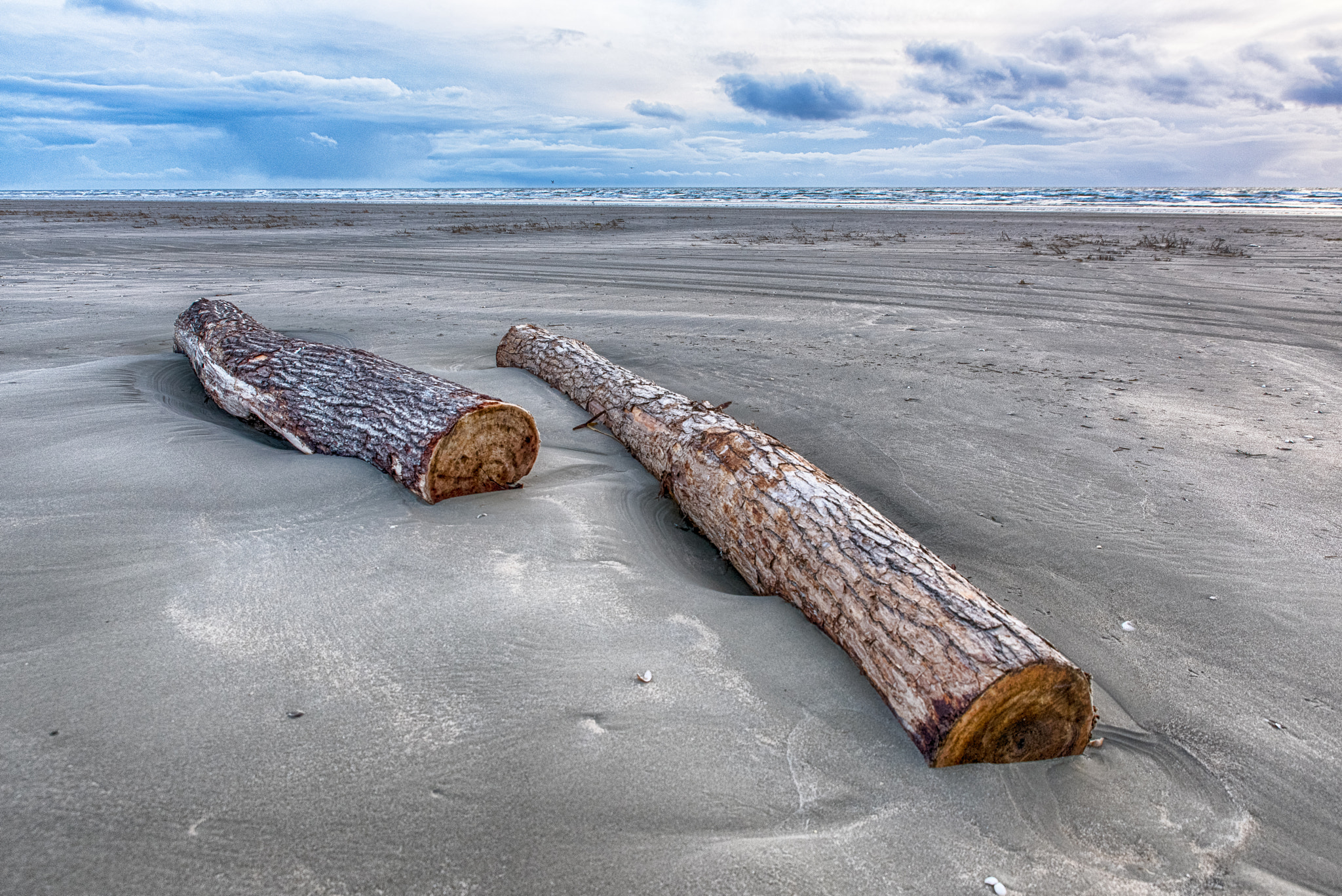 Drift wood