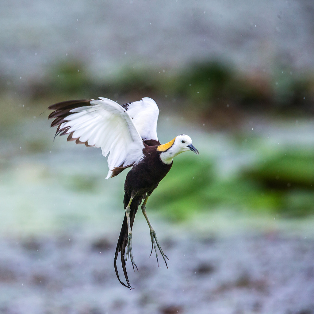 Taiwan 2014 by zhengyongsheng  on 500px.com