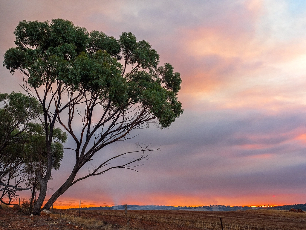 Burning Off by Paul Amyes on 500px.com