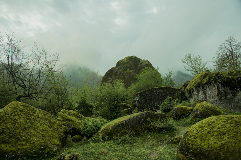 Forest spirit by SALLYS VISION on 500px.com