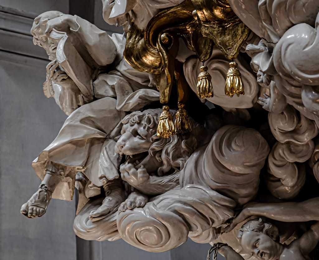 the laughing lion by dirk derbaum on 500px.com