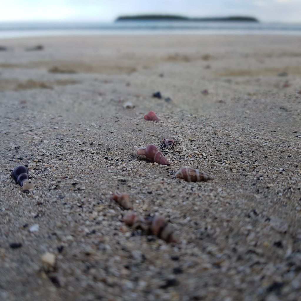 20190525_143217.jpg by Elizabeth Fitzgerald on 500px.com