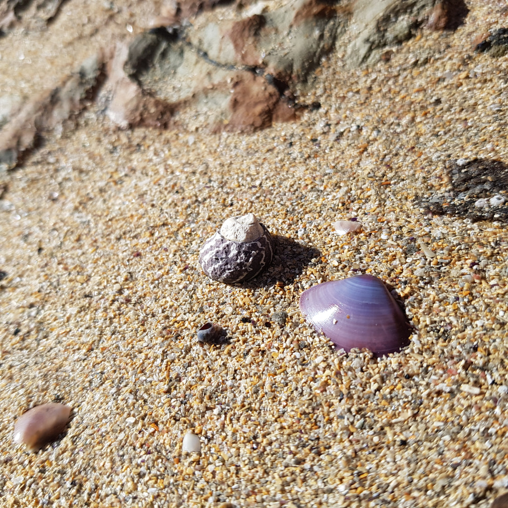 20190525_121634.jpg by Elizabeth Fitzgerald on 500px.com