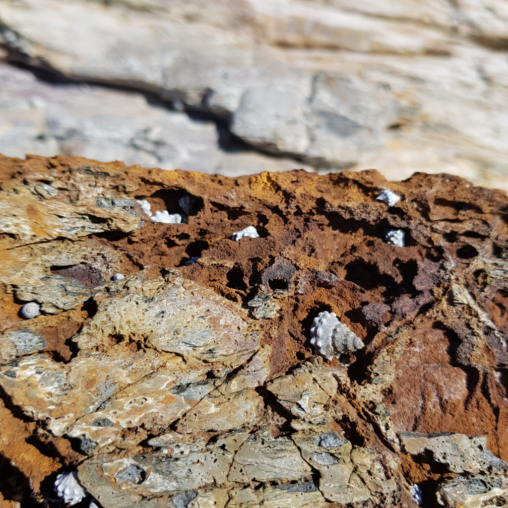 20190525_122949.jpg by Elizabeth Fitzgerald on 500px.com