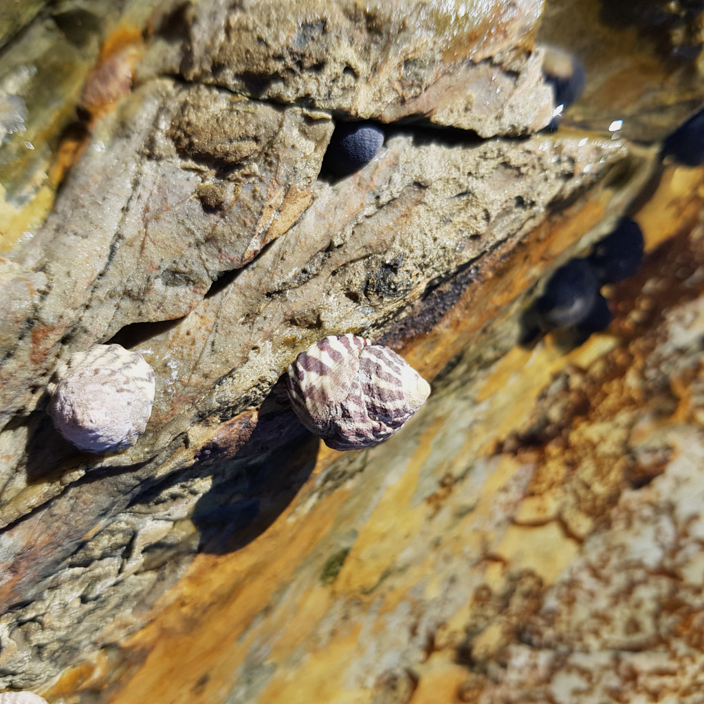 Cliffside by Elizabeth Fitzgerald on 500px.com