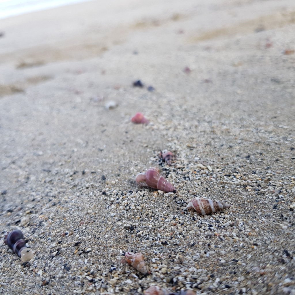 20190525_143159.jpg by Elizabeth Fitzgerald on 500px.com